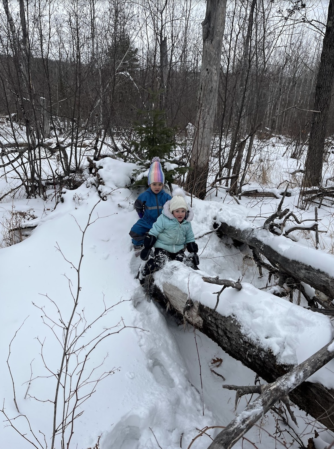 Nature school activity